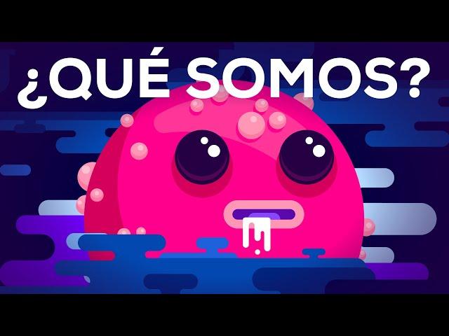 ¿Qué somos?