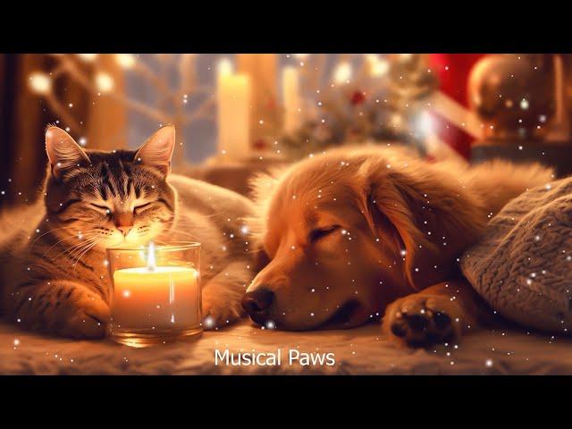 Music for Stability for Dog & Cat Sleep Depression Treatment, Calming Stress Relief Dog & Cat!