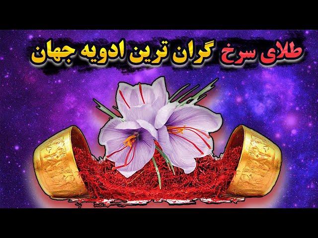 گران ترین ادویه | گران ترین ادویه جهان محصول ایران