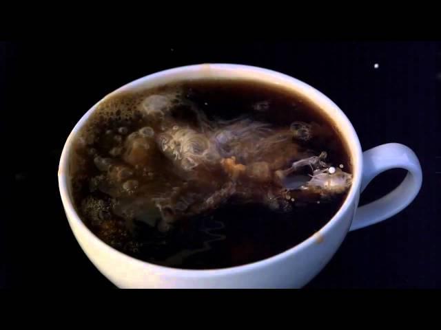 Coffee Creamer high speed video 2000fps 30fps playback.avi