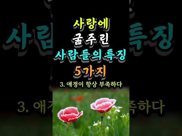 사랑에 굶주린 사람들의 특징 5가지 #오늘의명언 #인생의지혜 #좋은글