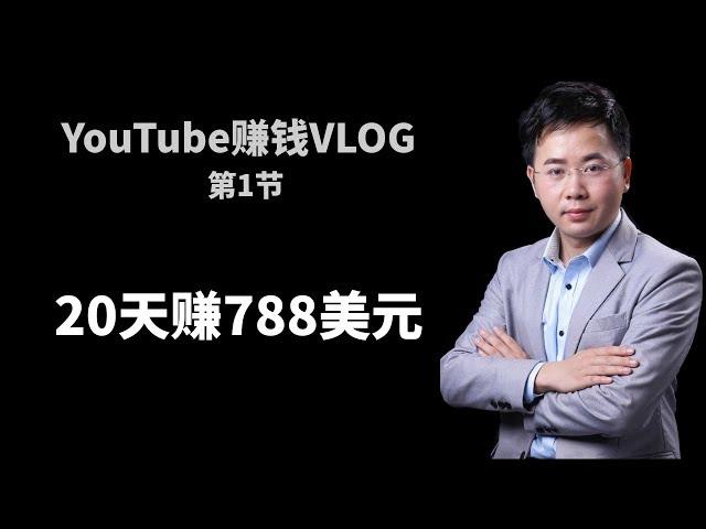 YouTube收入展示：20天赚了788美元以及春节期间内容更新计划