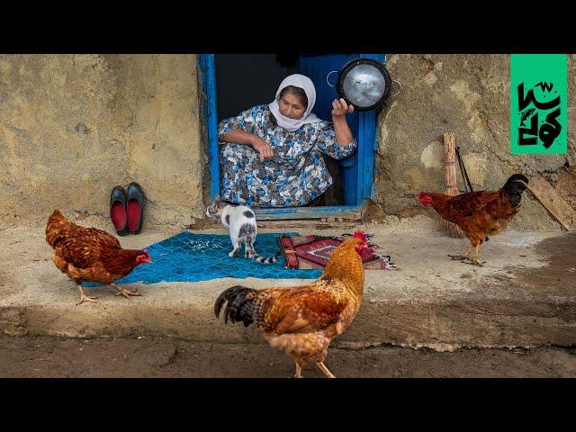 Country life vlog in Talesh mountains 5  ولاگ زندگی روستایی قسمت پنجم، لونگی مرغ