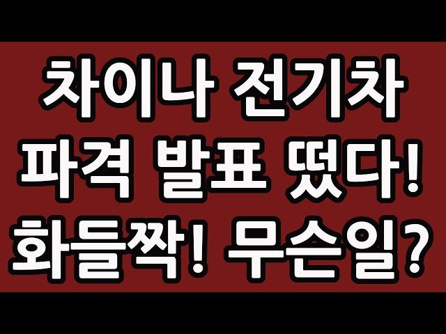 차이나 전기차 파격 발표 떴다! 화들짝! 무슨일일까? 중국 주식 주가 전망 TIGER 타이거 ETF SOLACTIVE 테슬라 루시드 아이온큐 TQQQ SOXL TMF