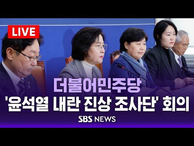 더불어민주당 '윤석열 내란 진상조사단' 회의 / SBS