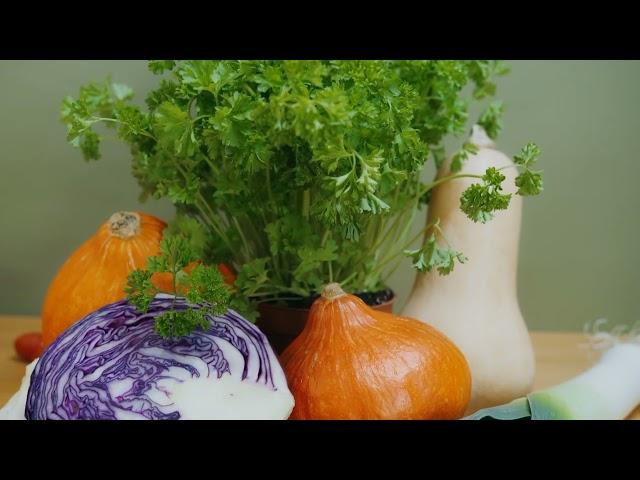 5 magic foods