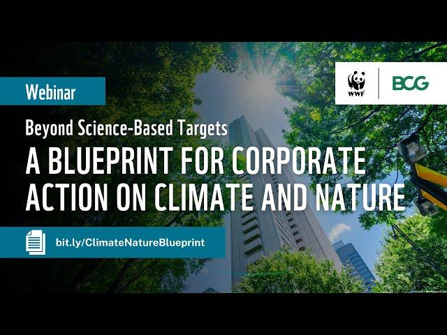 Beyond Science-Based Targets: A Blueprint for Corporate Action on Climate and Nature