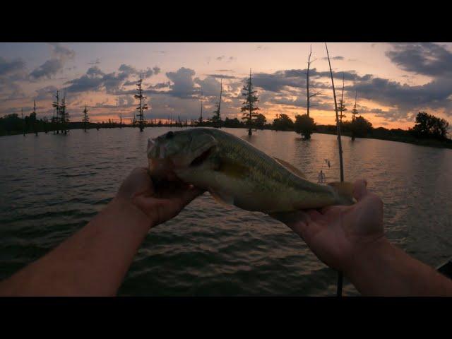 Bass Fishing Mallard Lake, Arkansas