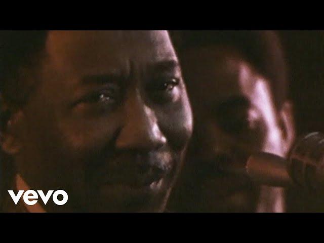 Muddy Waters - Mannish Boy (Live)