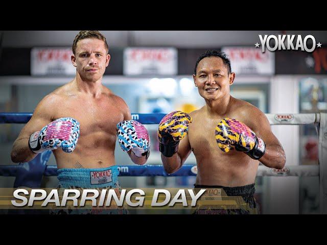 Saenchai Vs Watson Muay Thai Sparring | The GOAT Saenchai & Quadzilla back in BKK!