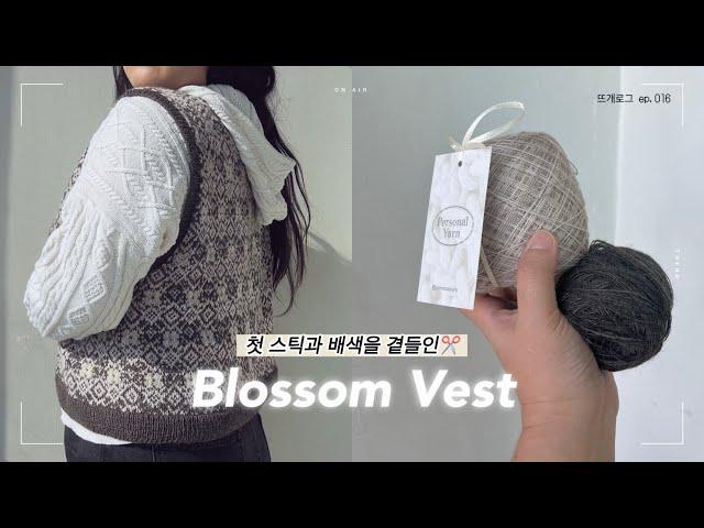 끝없는 배색과 호들갑 스틱 | 블로썸베스트 | Blossom vest | 퍼스널얀 |  코토리베이지