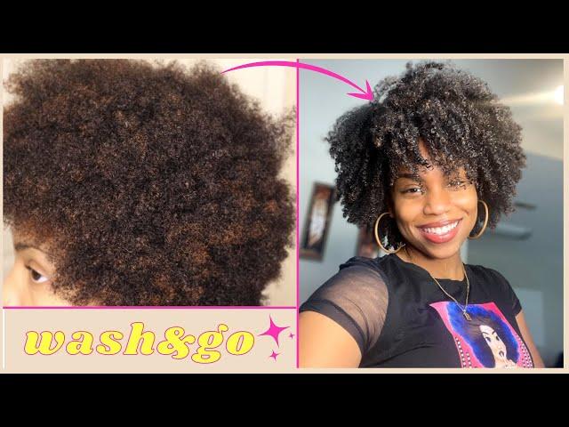 HOW TO ACHIEVE A PERFECT WASH AND GO ON TYPE 4 HAIR | Ft. UFD