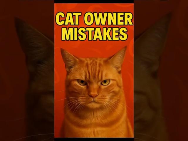 Are You Accidentally Annoying Your Cat?