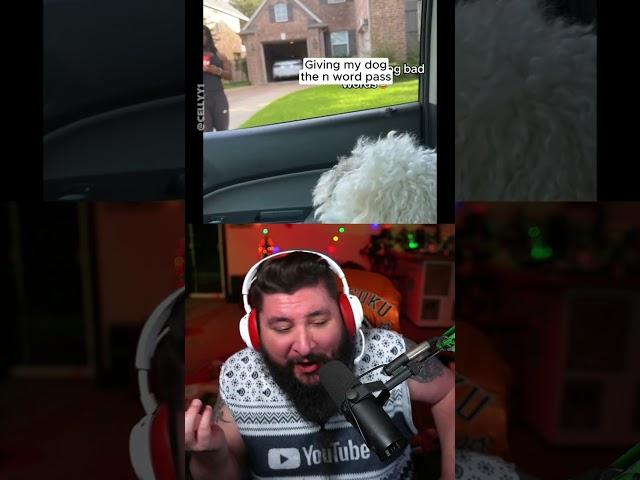 Dog Got The Pass via @cellyy1