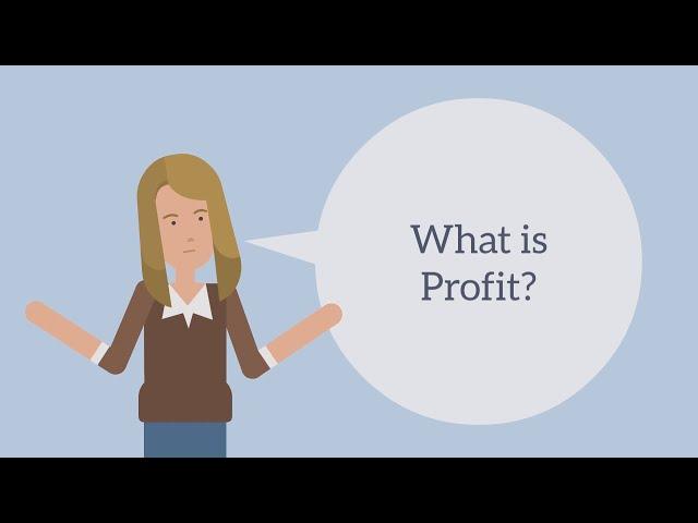 What Is Profit?