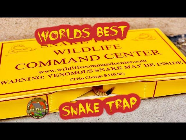 1.14 Snake Trapping, Wild Release, Snake Traps, How to trap snakes