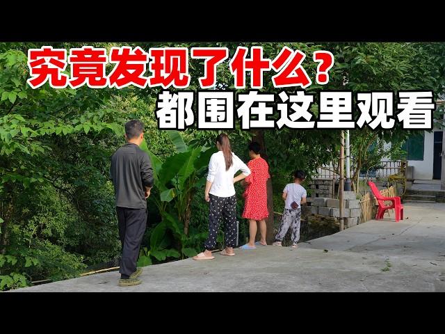 把发芽的土豆随手种在菜地，没想到收获了这么多，虽然不是很漂亮，但是自己种的心里满是成就感