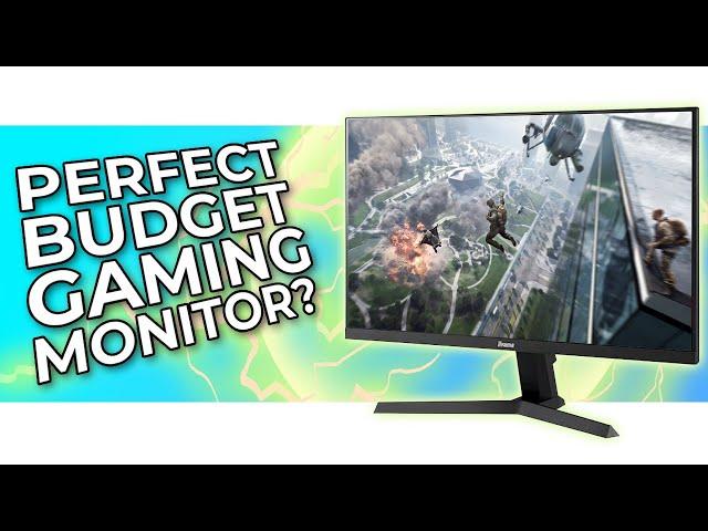 The Perfect Budget Monitor?! | iiyama G2470HSU Monitor Review