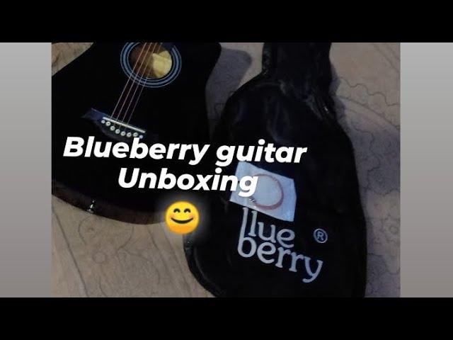 Blueberry guitar  review 