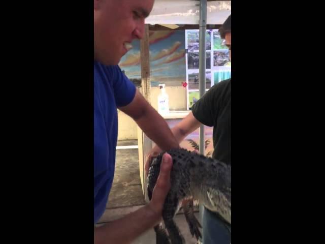 Gator Boys Holiday Park Airboat Tour (Part 12)