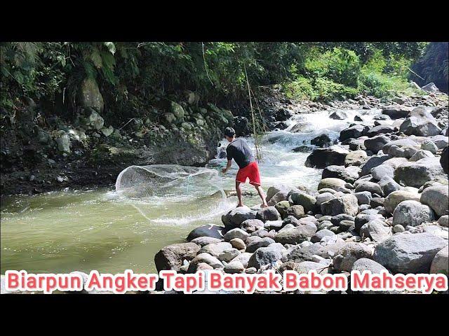Jos Bgt Jala Ikan di Sungai Arus Deras Banyak Babonya cuy