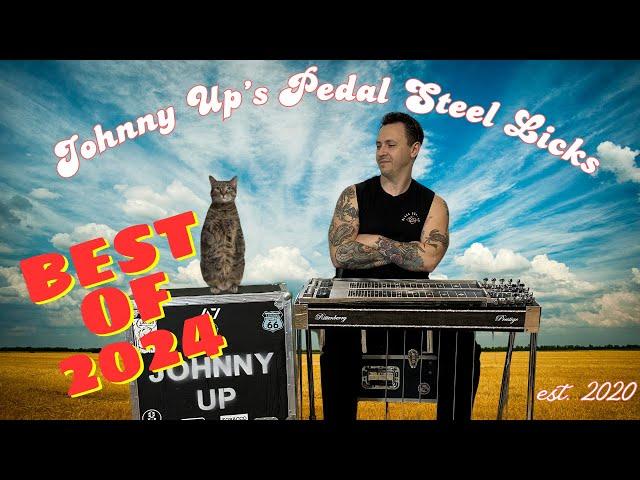 Best of 2024 My favorite pedal steel guitar licks I learned this year