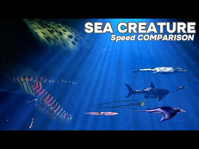 FASTEST Sea Creatures on the Planet | Speed Comparison