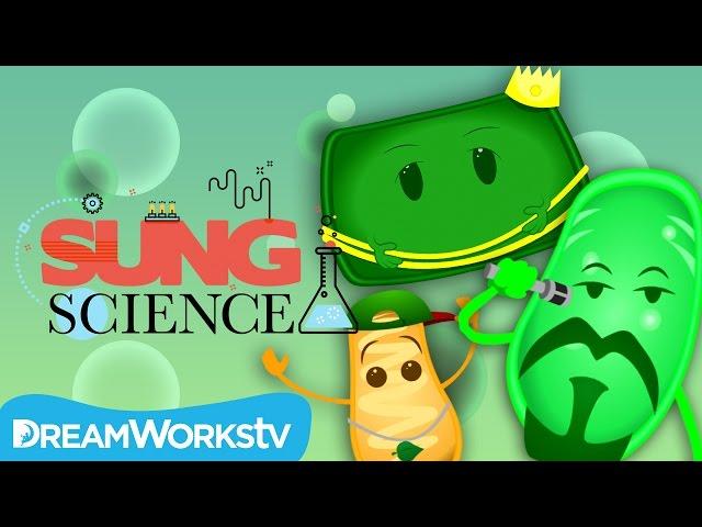 "The Plant Cell Clique" | SUNG SCIENCE