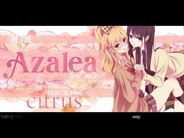 "Azalea" English Cover - Citrus OP (feat. Mero)