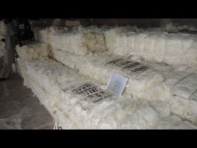 How Polyester Fiber Bale Are Packed Fiber Packing Machine