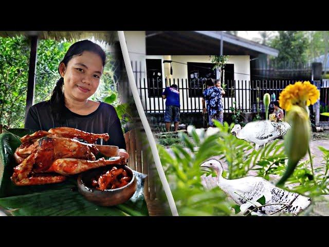 PABOTIN sweet & sour turkey | Planting string beans, sponge gourd, chillies in our mini garden