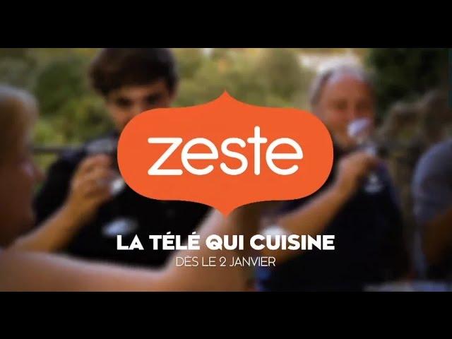 Zeste - Nouvelle programmation - Hiver 2017