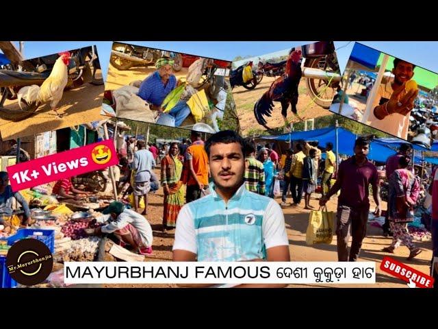 Mayurbhanj Famous ଦେଶୀ କୁକୁଡ଼ା ହାଟ, କାଣିମହୁଲି ହାଟ  | Mr mayurbhanjiaaa #mayurbhanj #viralvlog #vlog