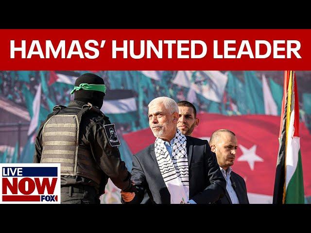 Israel-Hamas war: Sinwar evades negotiators amid Iran attack | LiveNOW from FOX