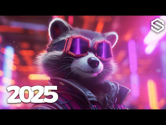 Music Mix 2025  EDM Mixes Of Popular Songs  EDM Bass Boosted Music Mix #018