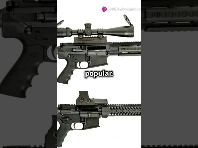 AR 15 vs H&K  Ultimate Showdown!