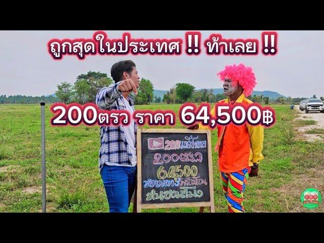 ที่ดินราคาถูกสุดในประเทศ 200ตรว 64,500 สด-ผ่อนได้หมด หนองมะโมง ชัยนาท