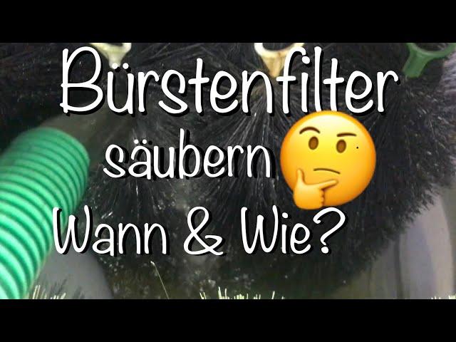 Wann & Wie mach ich meine Bürstenfilter sauber