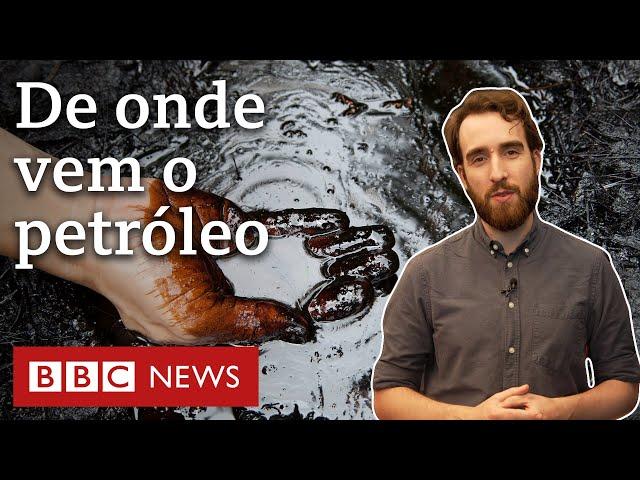 Qual é a origem do petróleo? (spoiler: não vem exatamente dos dinossauros)