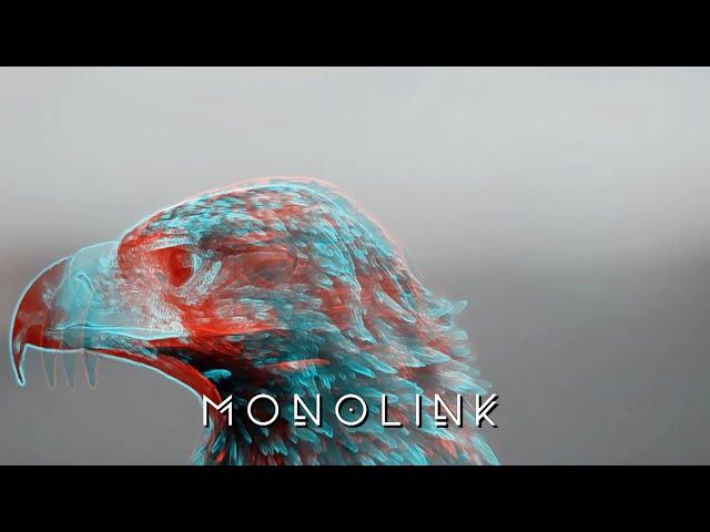 Monolink - The Prey (Mind Against Remix)