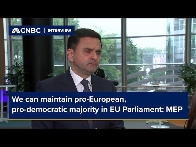 We can maintain pro-European, pro-democratic majority in EU Parliament: MEP