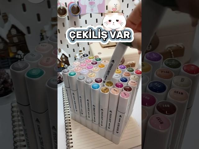 Çekiliş şartlarını yoruma sabitledim aşklarım️ #çekiliş #kalem #süsleme