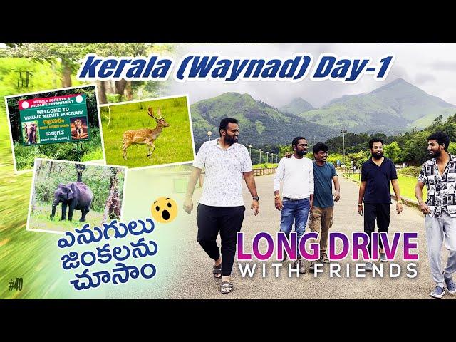 Discover the Hidden Gems of Waynad on Our Long Drive with Friends  #wayanad #kerala