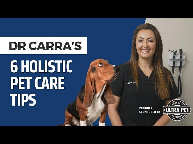 6 of my Holistic Pet Care Tips