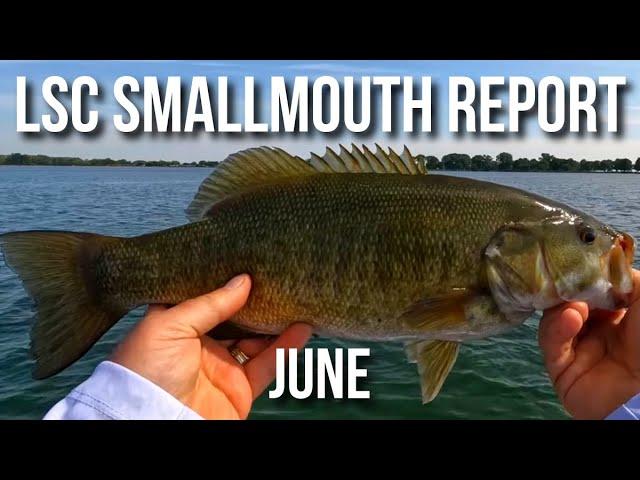 Lake St Clair Smallmouth Bass Fishing Report