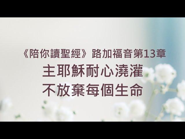 主耶穌耐心澆灌，不放棄每個生命《路加福音13》｜陪你讀聖經2