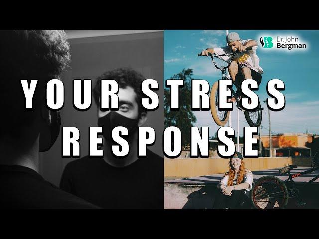 Your Stress Response - Your Adrenal And Thyroid Reaction