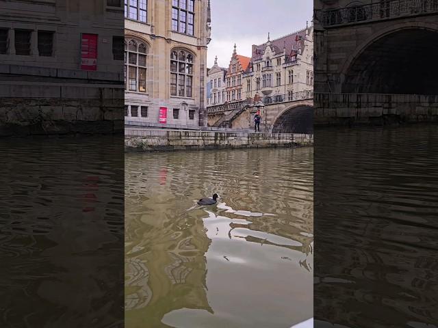 By boat on the Lys River | Ghent.