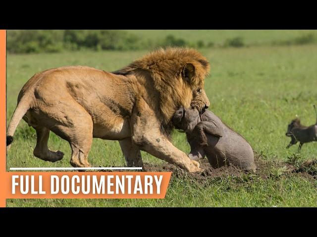 Explore the Clash of the Titans - Lions vs. Hyenas, a Fight for Territory | Full Documentary