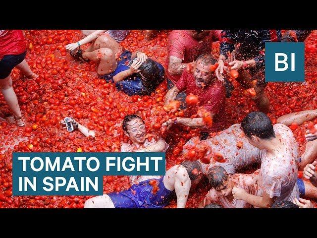 Hundreds Of Tons Of Tomatoes Are Used As Ammo In Spain's Tomatina Festival